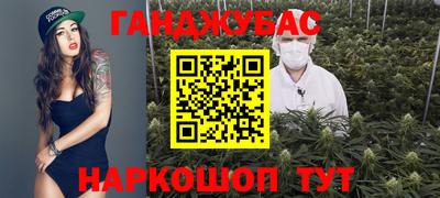 PSILOCYBIN Северобайкальск