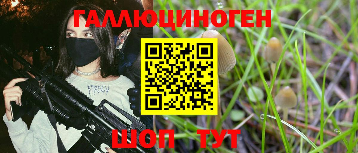 Псилоцибиновые грибы GOLDEN TEACHER  Вход с VPN  Сафоново 
